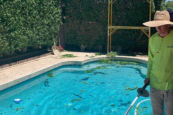 A person in a hat cleans leaves from a backyard swimming pool using a skimmer pole on a sunny day.