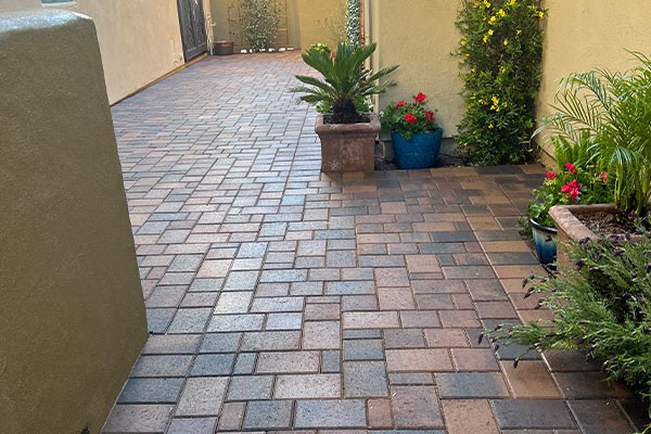Brick patio with potted plants along beige walls, including ferns, flowers, and a small palm in containers.
