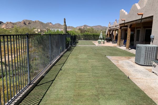 A fenced backyard with fresh sod, a patio, and desert mountains visible in the background under a clear sky.