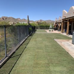 Freshly laid sod in a backyard bordered by a black metal fence, with desert landscape and mountains in the background.