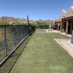 A backyard with newly laid sod, a black metal fence on the left, and a stucco house with a patio on the right.