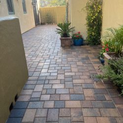 A paved patio walkway bordered by tan walls, potted plants, and small green shrubs at the end.