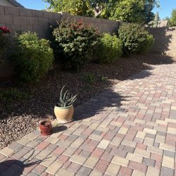 Backyard with paved stones, potted plants, gravel, shrubs along a brick wall, and trees in the background under clear sky.