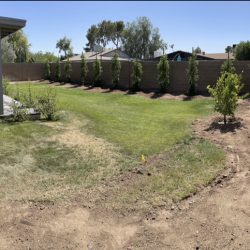 Backyard with a covered patio, a grassy lawn, young trees along a block wall, and a dirt area in the foreground.